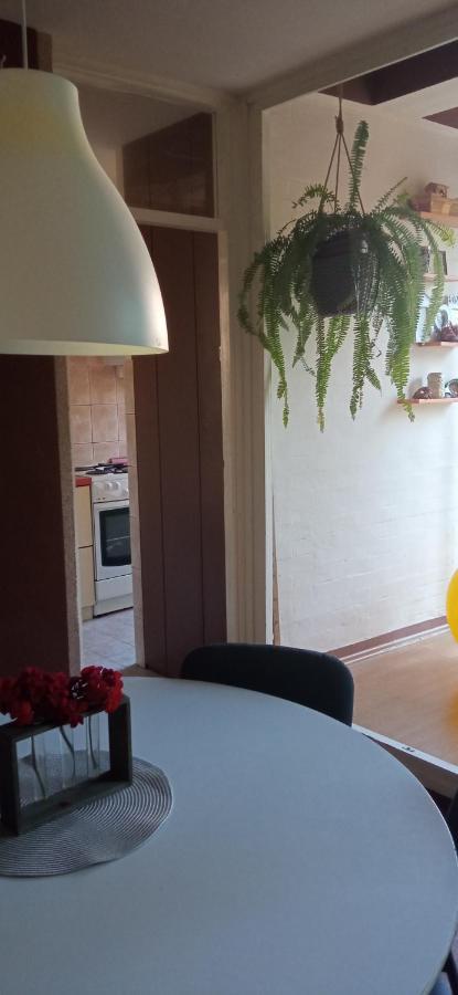 Branysol Apartman Нови Сад Екстериор снимка