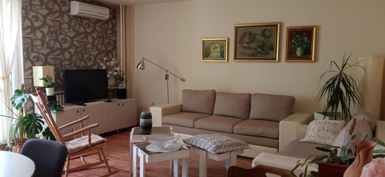 Branysol Apartman Нови Сад Екстериор снимка